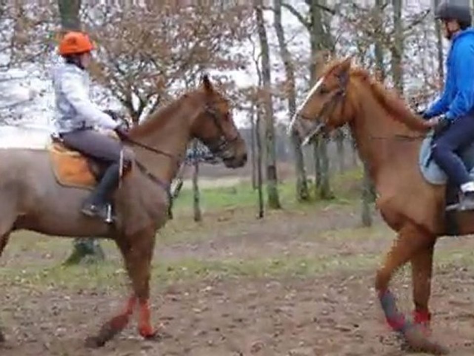 Anthony et Titanium et Maxime Birbaud et O'kleef - beaux