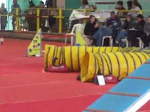 20110213 Agility Annonay