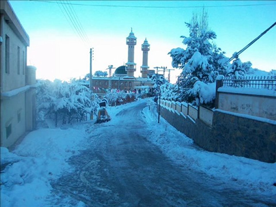 thadarth azizane