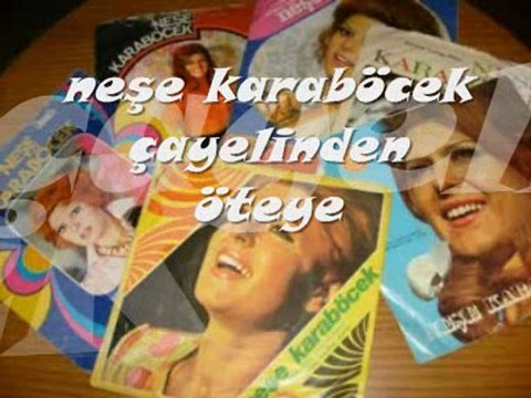 neşe karaböcek-çayelinden öteye