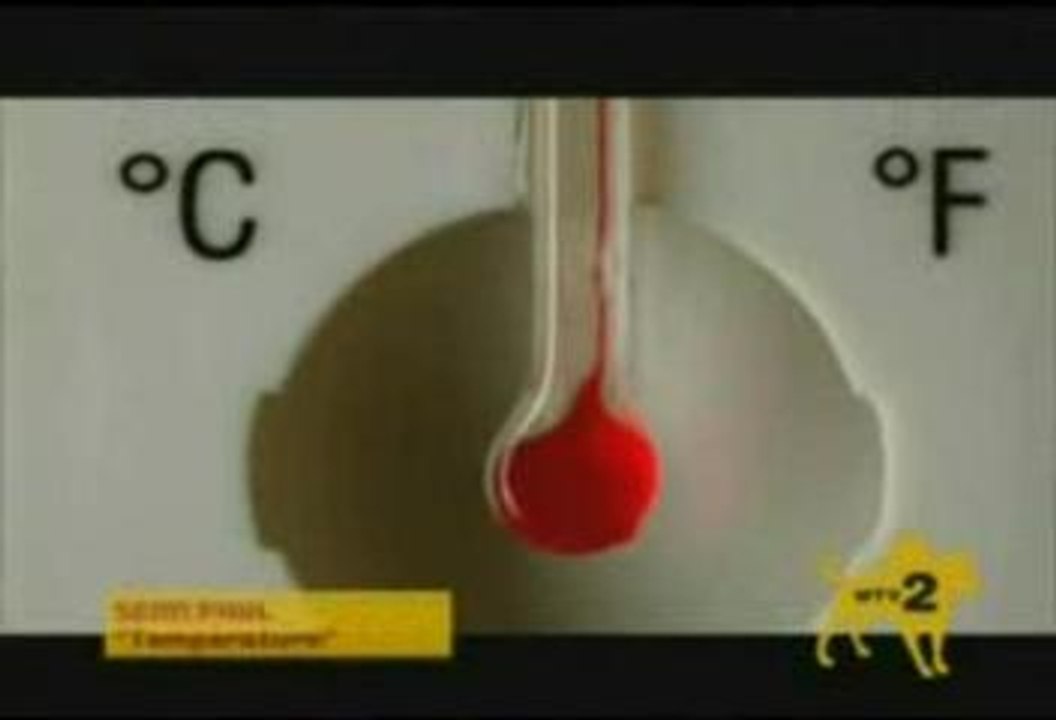 Sean Paul - Temperature