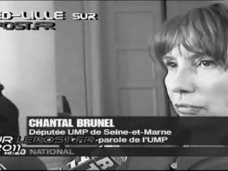 Les propos insupportables de C. Brunel sur l’immigration