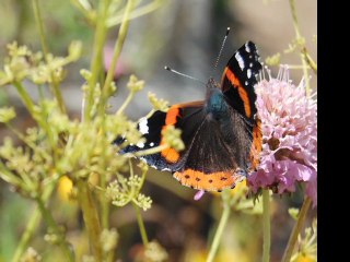 Landscaping Tip 2 for Corporate Campuses