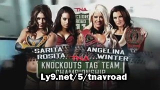 TNA VICTORY ROAD 2011 - Fight Card