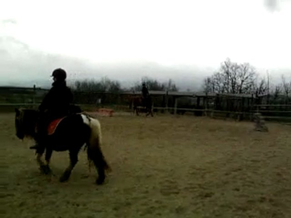 Lucky & Moii, Saut Au Trot