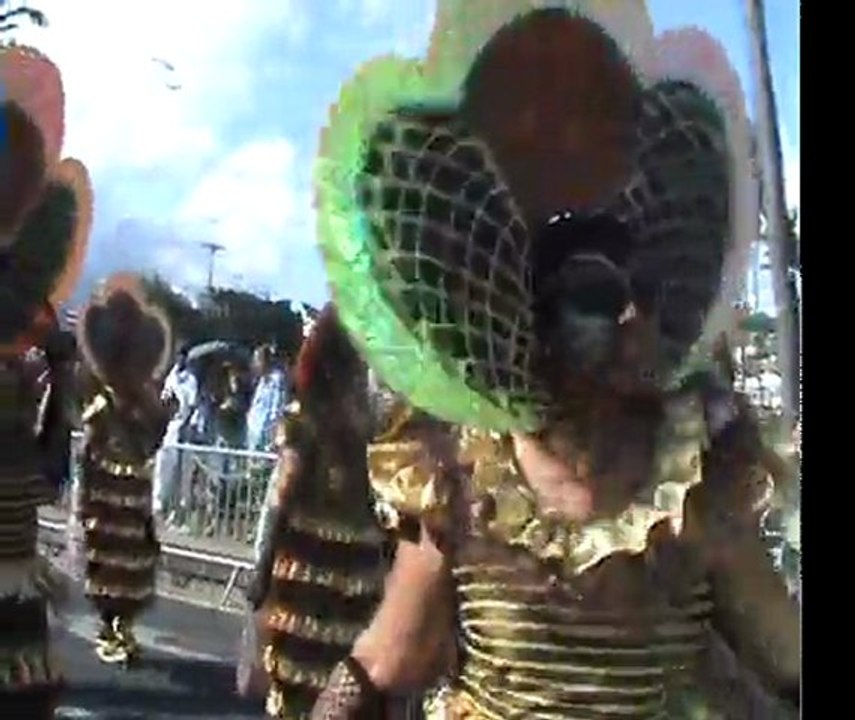 carnaval de fort de france 2011- 1ere partie (le dimanche)