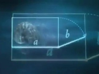 Fibonacci Number