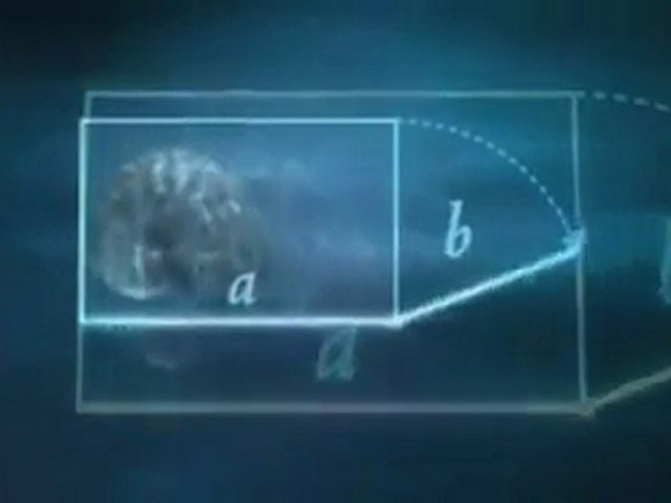 Fibonacci Number
