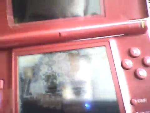 animal crossing ds ville et maison