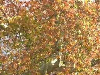 Balade entre la Loire et l'Argenton