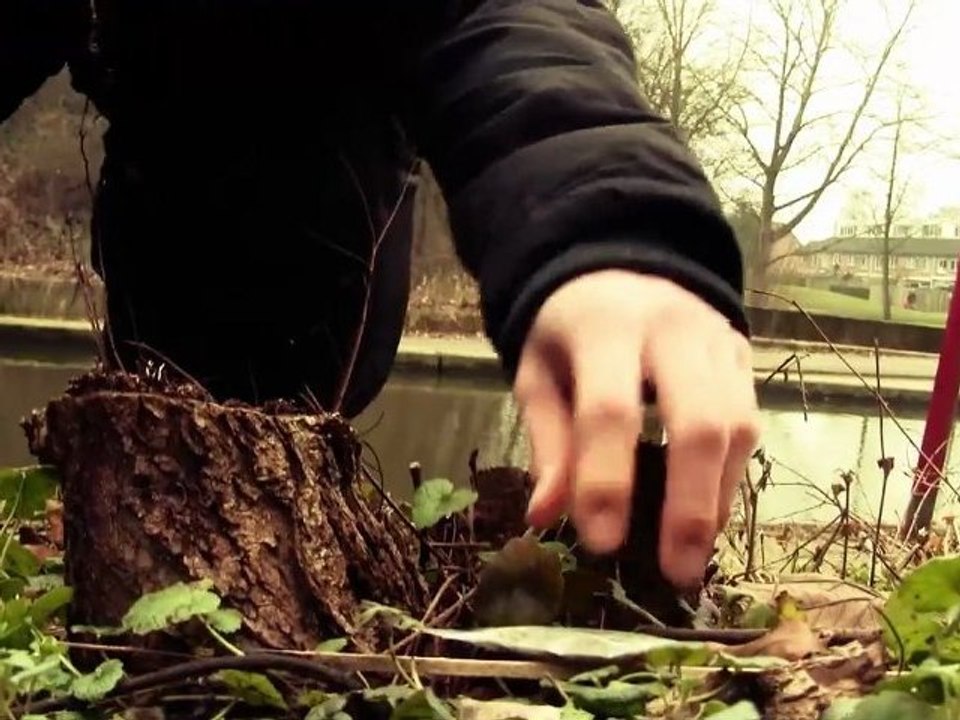 Standeard Voorstellen