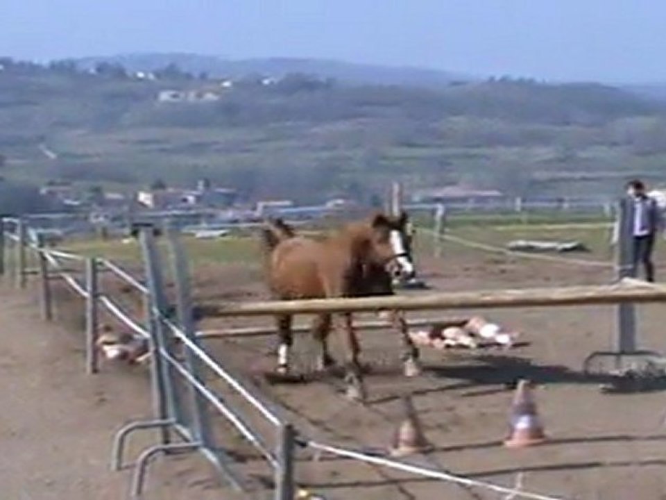 carmen 2