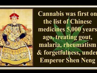 Les atouts du chanvre... (HolyWeed Boulevard)