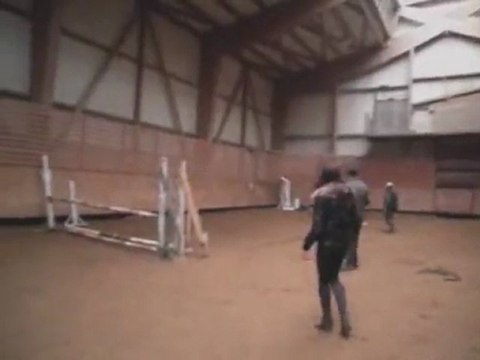 Un Flipper par Flipper d'Elle SF 3 ans- CSO ou CCE- A vendre