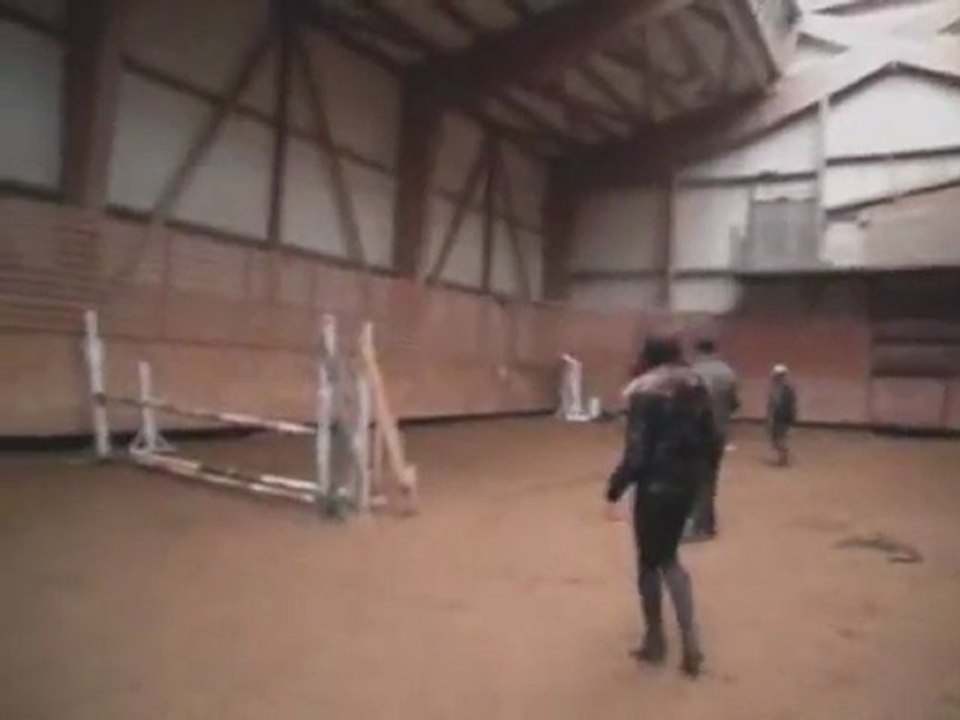 Un Flipper par Flipper d'Elle SF 3 ans- CSO ou CCE- A vendre