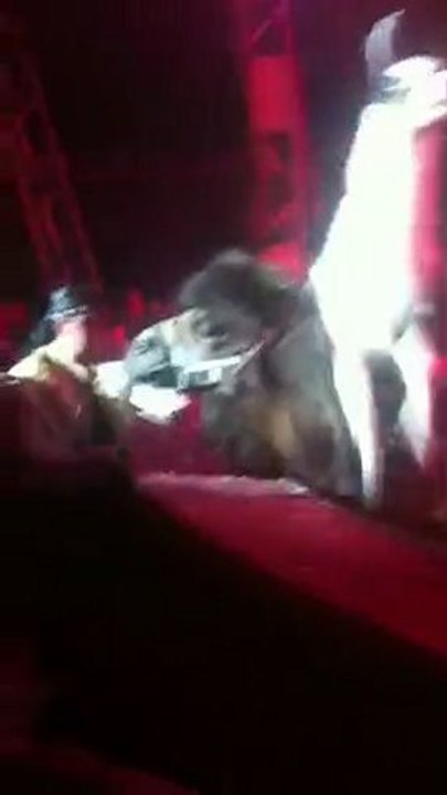 Spectacle Cirque Zavatta 03/03/11