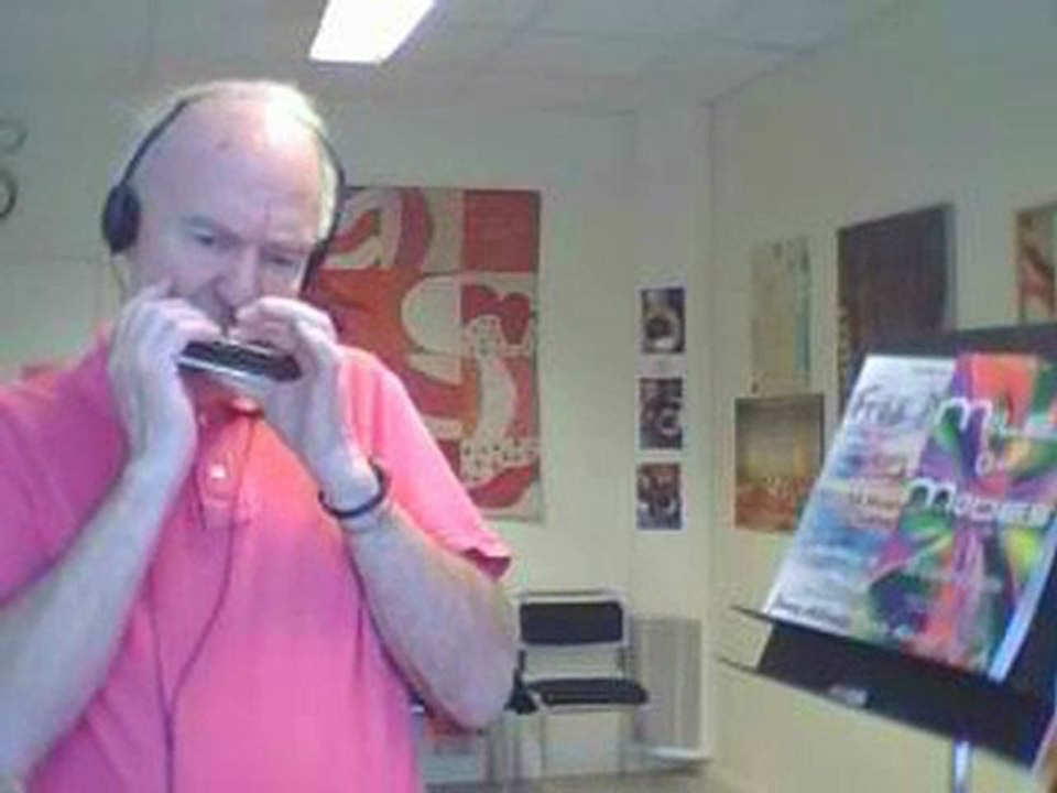 "JAPAN BLUES" by Johnny D Bergh on Harmonica