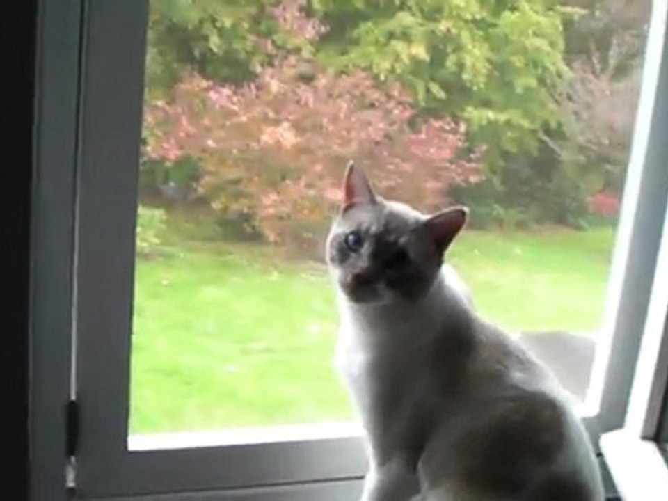 Pablo