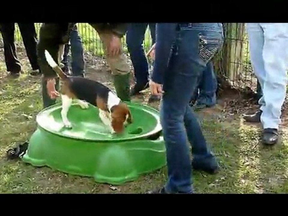 ECOLE DU CHIOT THIONVILLE