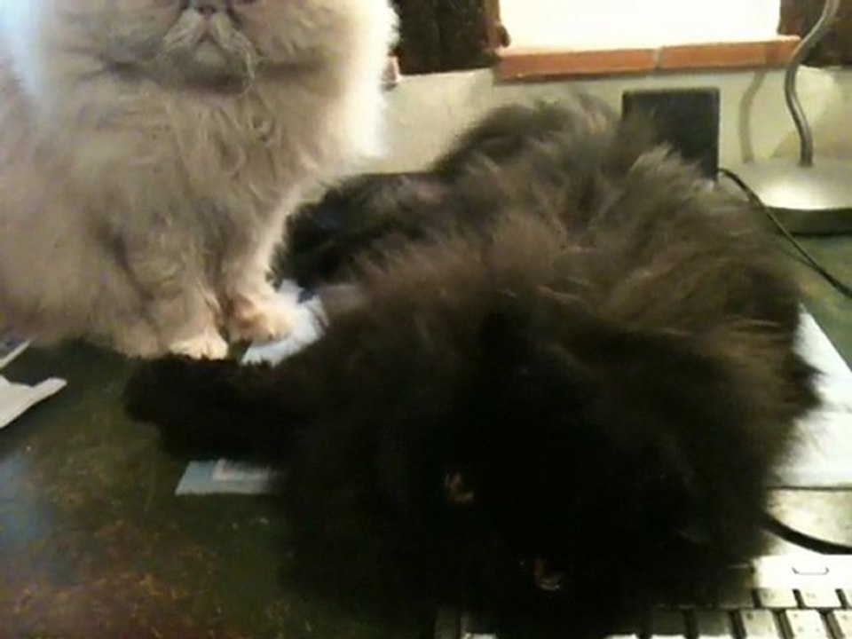 Darina et sa "poupée" Biscuit