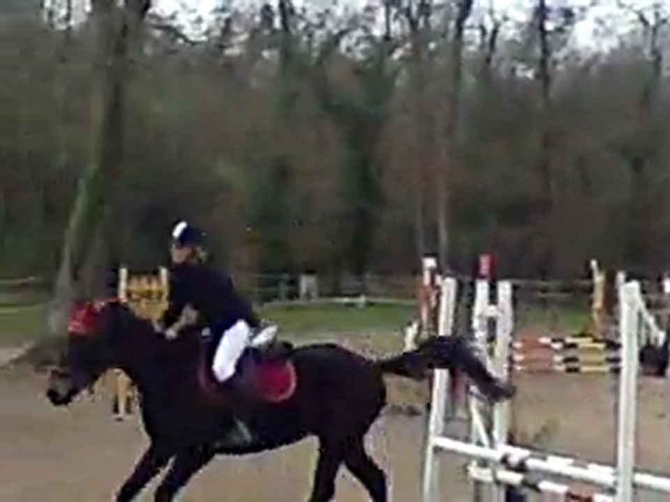 b. TFDB Bretagne de Marsan 13 03 2011