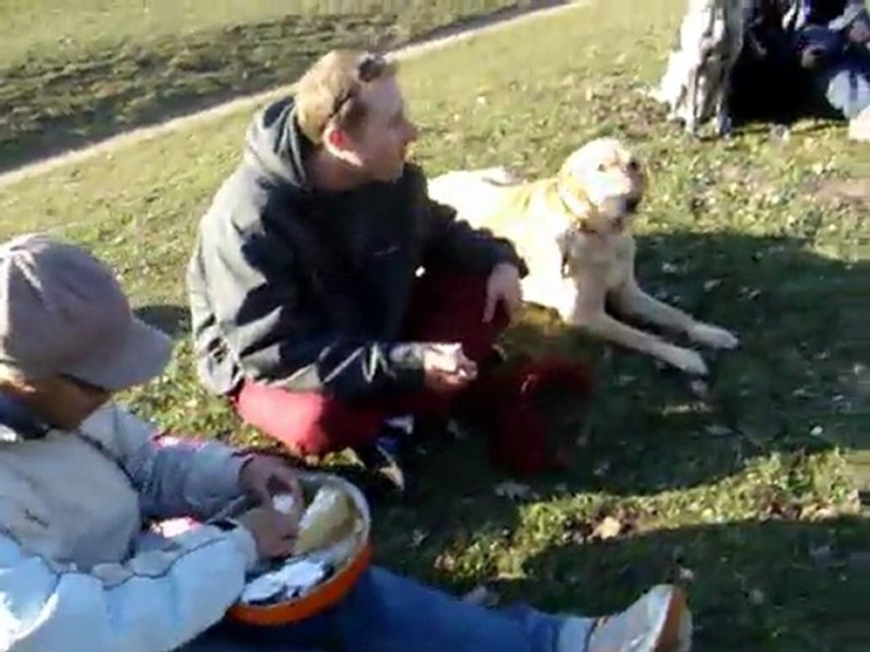Pique nique au Bois de Boulogne avec 15 chiens