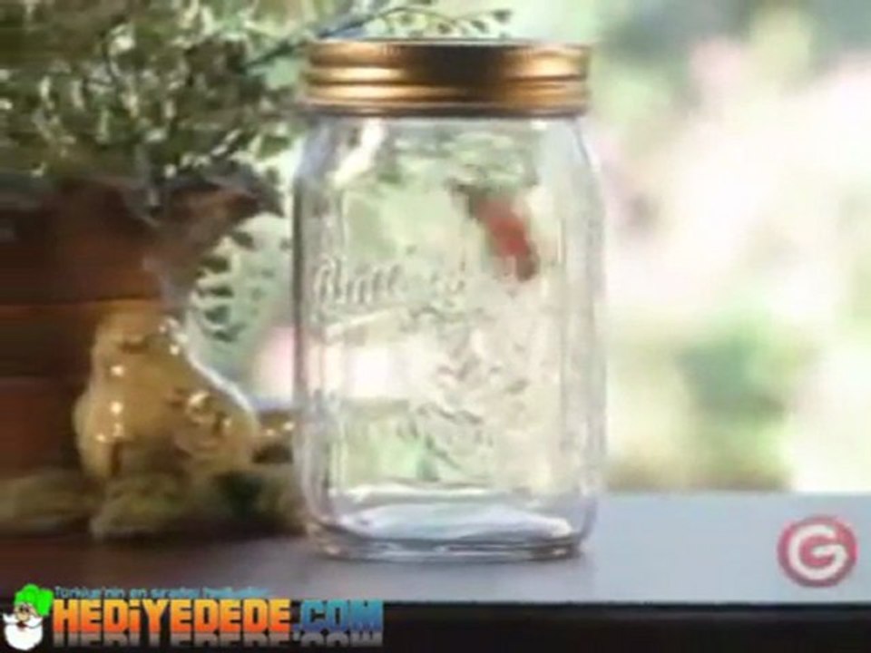 Kavanozda Kelebek - My Butterfly- HediyeDede.com