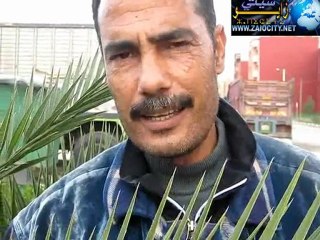 برنامج في الصميم - " آش قالوا ناس زايو في خطاب 9 مارس 2011