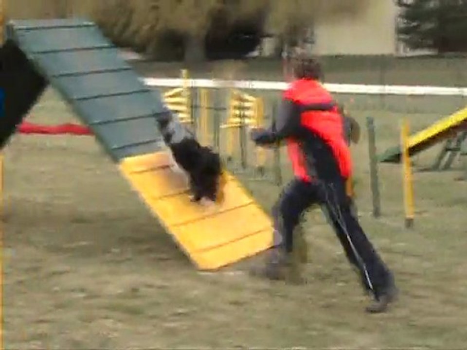 agility 12 mars 11