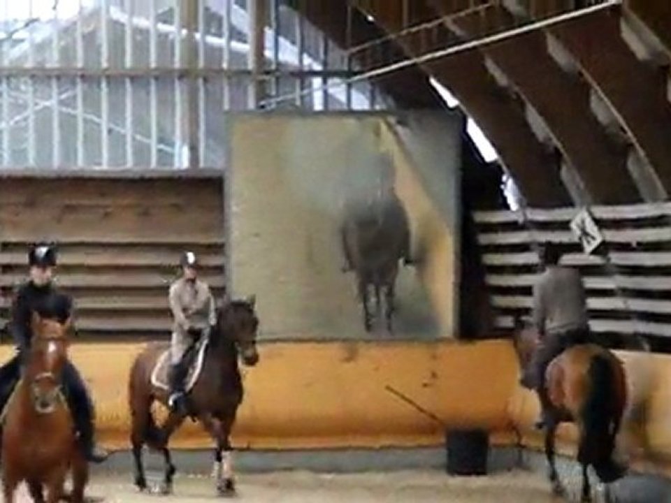 Eckwer le 13.03.11 005