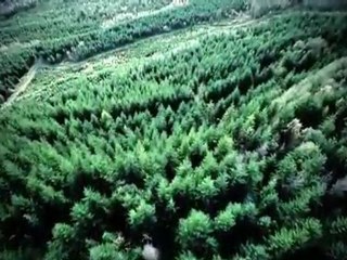 2011 Chevy Volt at Courtesy Chev - Cleaner Energy