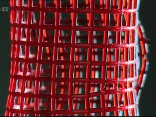 Construire efficacement 2_3 - biomimetisme