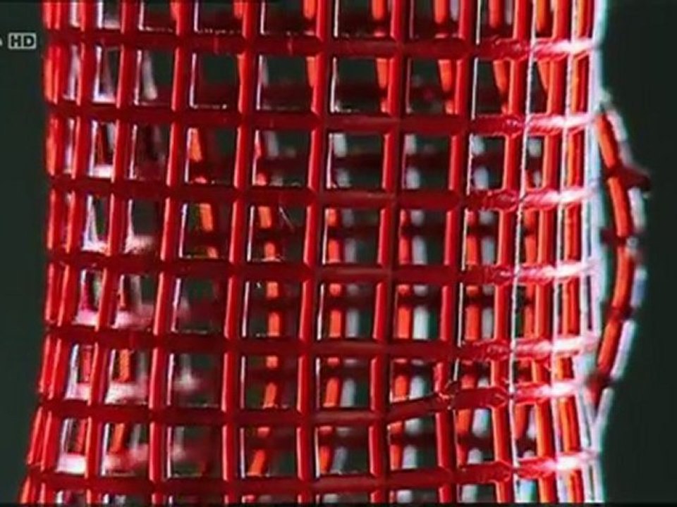 Construire efficacement 2_3 - biomimetisme