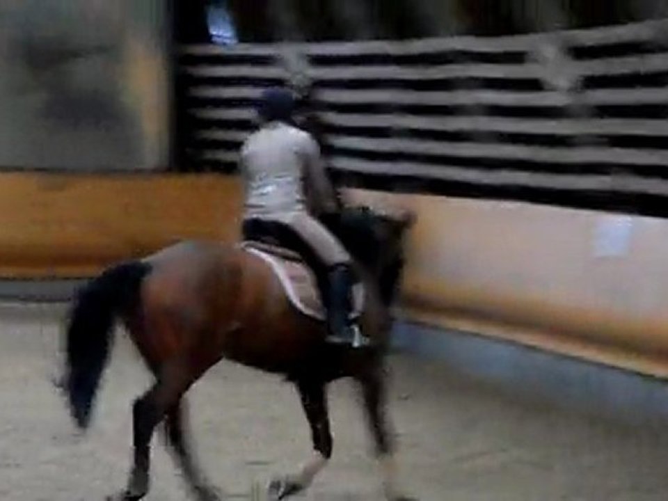 Eckwer le 13.03.11 010