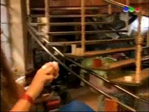 Casi Angeles 2010 CAP 7.2