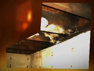 Cleaning Mold Caldwell