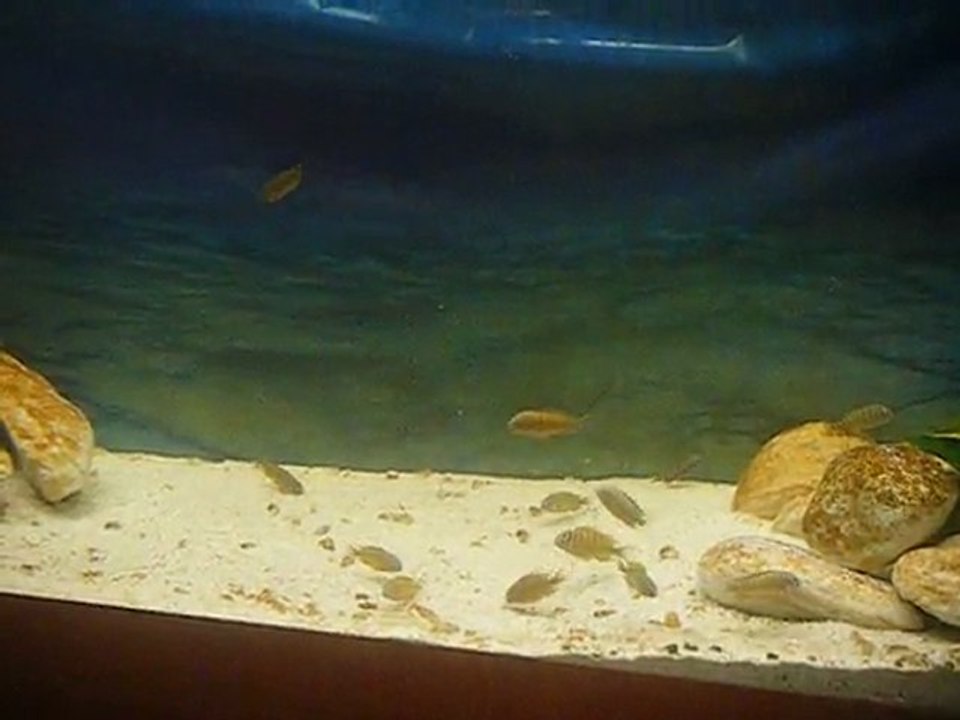 DSCF4259