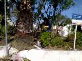 ΕΘΕΛΟΝΤΙΚΗ ΚΑΘΑΡΙΟΤΗΤΑ ΣΤΑ ΦΗΡΑ 2