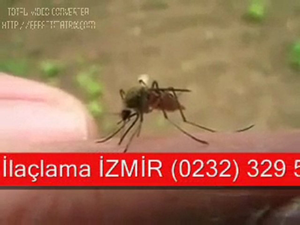 İZMİR ilaçlama  0232 329 59 02 TÜM HAŞERELER İÇİN GARANTİ