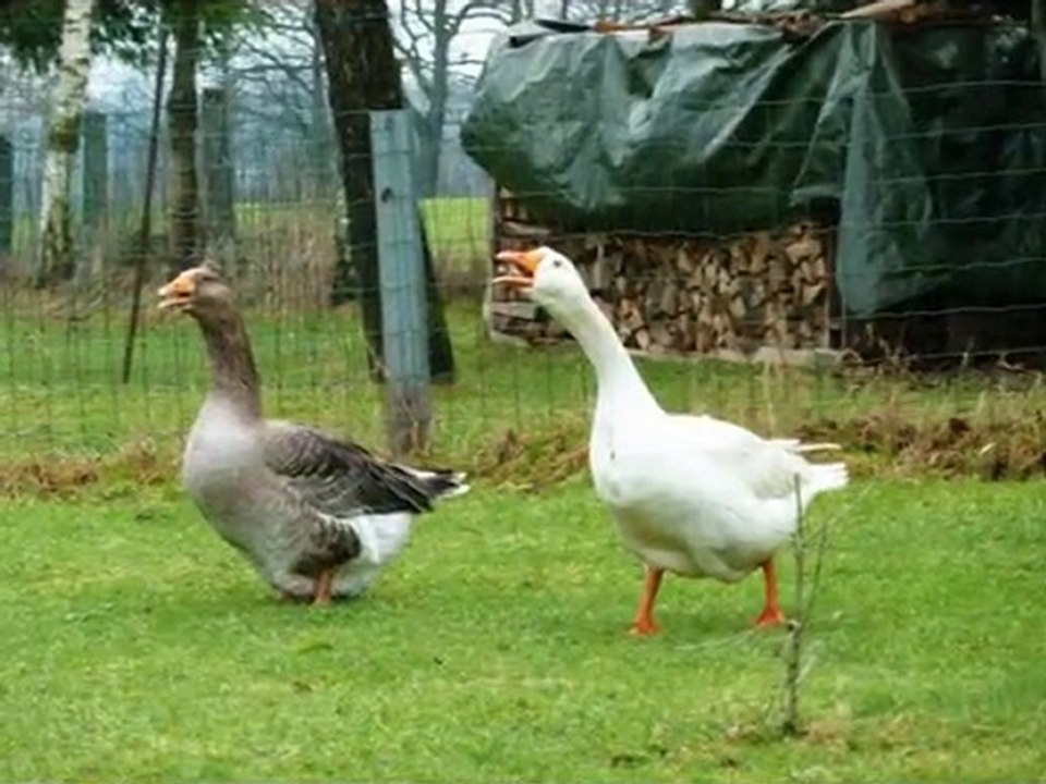 année 2011 - mois de février - nº 8