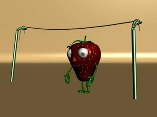 FRAISE GOOL ~ Wassef HSN ~ 01