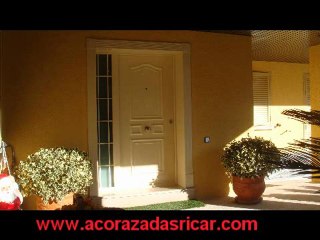 Puertas Acorazadas Con Decoración  Diseñada Por usted