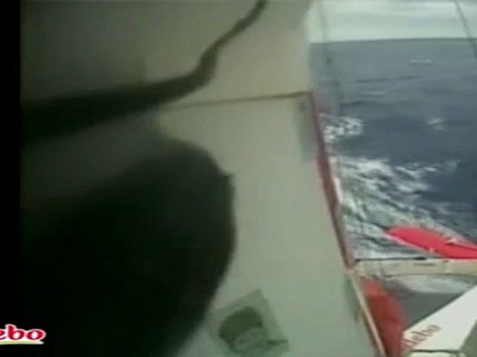 14-03-2011 : Résumé du 11ème "Live" à bord de Sodebo