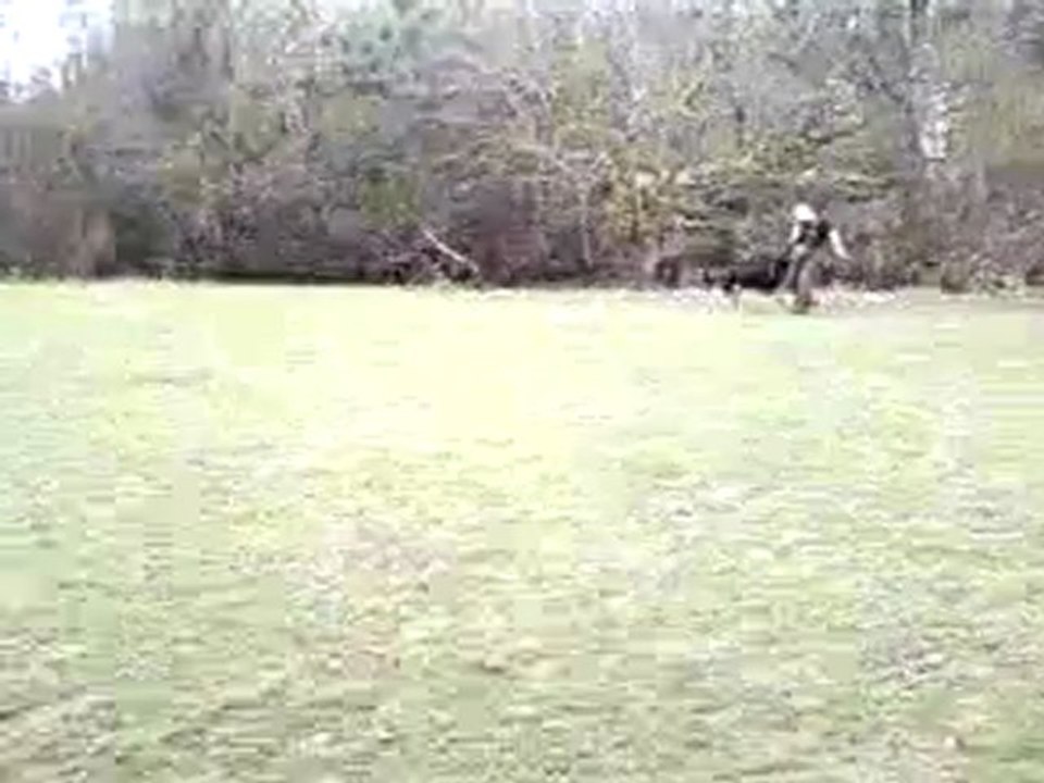 Vidéo-0011