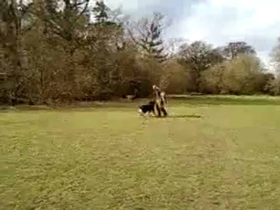 Vidéo-0009