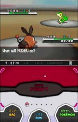 Official English Pokemon Black and White Rom Download 3-9-11