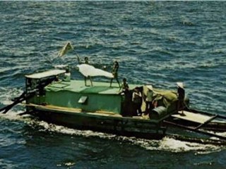 Skipping Girl Vinegar & Tri Nguyen - Bullets and Mango Trees