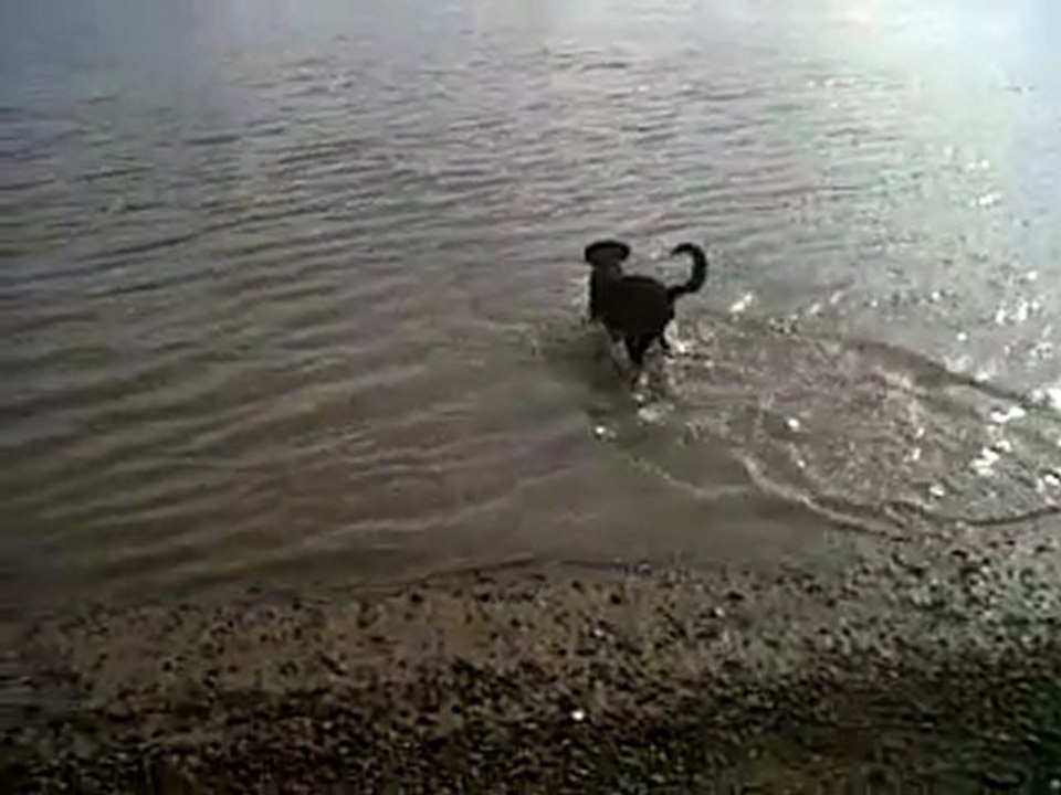 VID 00004-20110314-1609