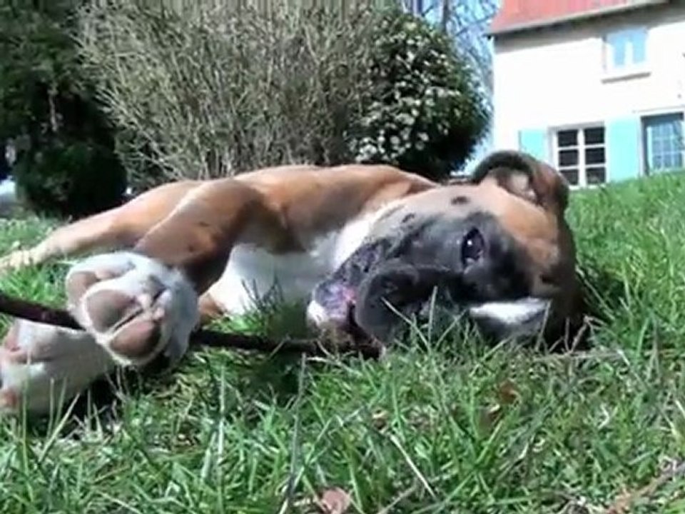 Louis, mon copain de jeux