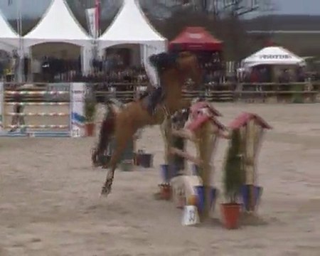 O'z du Moulin Barrage Grand Prix Csi Sandillon 2011